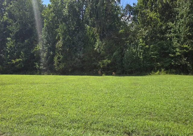 Photo 22 of Land for sale at 0 Big Ridge Rd, Indian Mound, TN 37079 | MLS# 3528871 | Listing updated on 2026-08-29