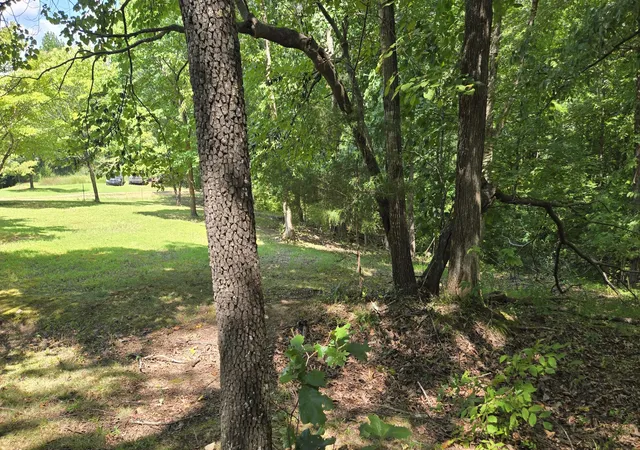 Photo 3 of Land for sale at 0 Big Ridge Rd, Indian Mound, TN 37079 | MLS# 3528871 | Listing updated on 2026-08-29