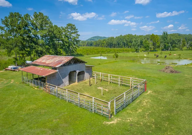 3rd image of 5605 Main Street, Gaylesville, AL 35973 | MLS# 3528979