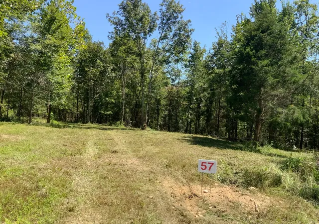 Photo 2 of Land for sale at 0 Streamside Dr, Dover, TN 37058 | MLS# 3529150 | Listing updated on 2026-08-30