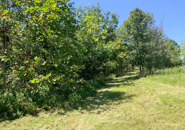 Photo 3 of Land for sale at 0 Streamside Dr, Dover, TN 37058 | MLS# 3529150 | Listing updated on 2026-10-12