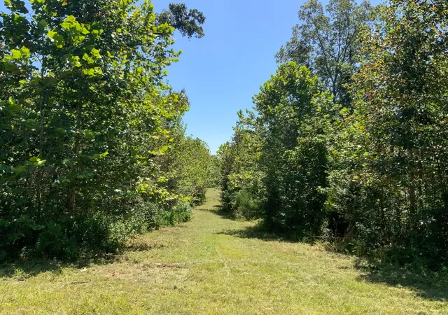Photo 4 of Land for sale at 0 Streamside Dr, Dover, TN 37058 | MLS# 3529150 | Listing updated on 2026-10-12