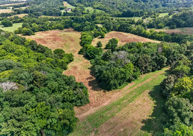 Photo 3 of Land for sale at 0 Cheatham Rd, Ardmore, TN 38449 | MLS# 3529108 | Listing updated on 2026-08-29