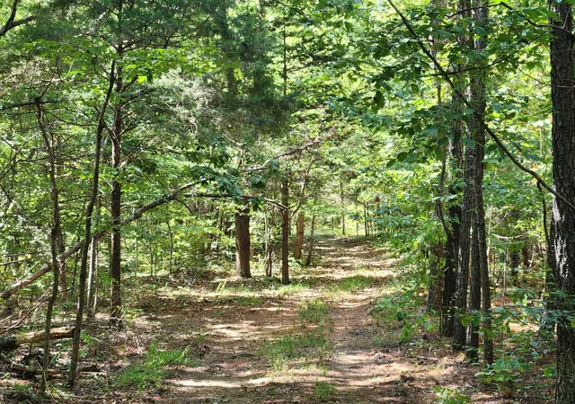 Photo 3 of Land for sale at 138 Vaughn Rd, Charlotte, TN 37036 | MLS# 3529120 | Listing updated on 2026-09-01