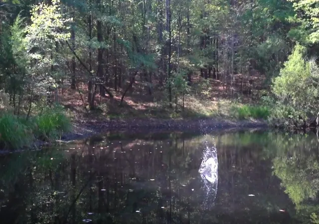 Photo 3 of Land for sale at 138 Vaughn Rd, Charlotte, TN 37036 | MLS# 3529120 | Listing updated on 2026-09-01