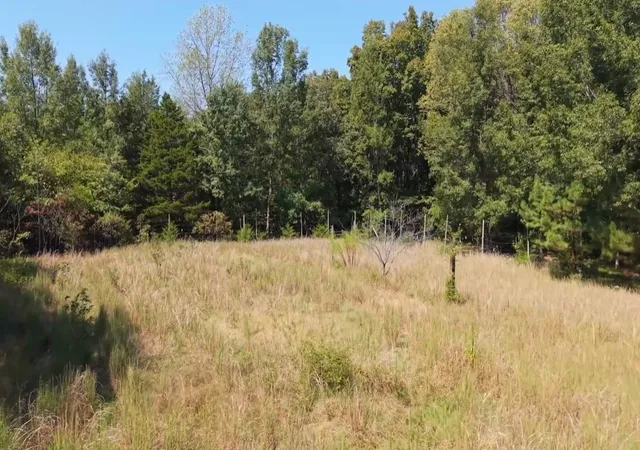 Photo 4 of Land for sale at 138 Vaughn Rd, Charlotte, TN 37036 | MLS# 3529120 | Listing updated on 2026-09-01
