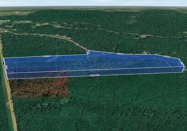 Land for sale at 12946 Birdsong Rd, Holladay, TN 38341 | MLS# 3529187