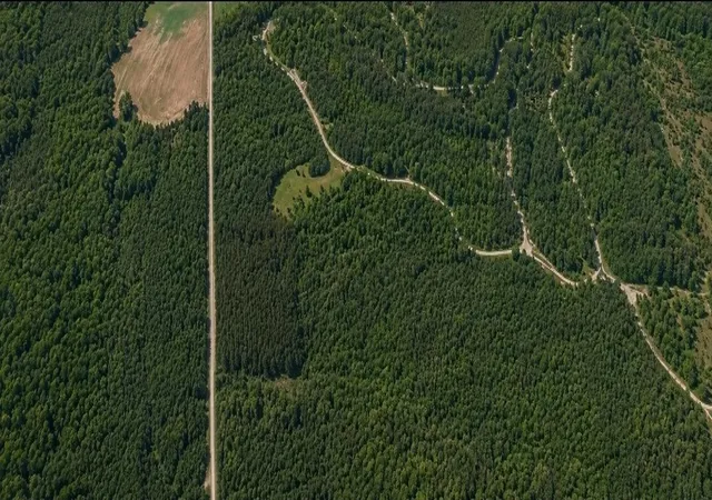 Photo 2 of Land for sale at 12946 Birdsong Rd, Holladay, TN 38341 | MLS# 3529187 | Listing updated on 2026-08-30