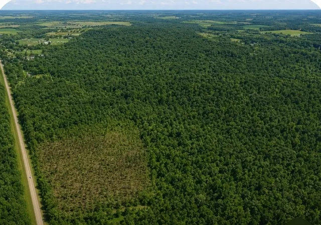 Photo 3 of Land for sale at 12946 Birdsong Rd, Holladay, TN 38341 | MLS# 3529187 | Listing updated on 2026-08-30