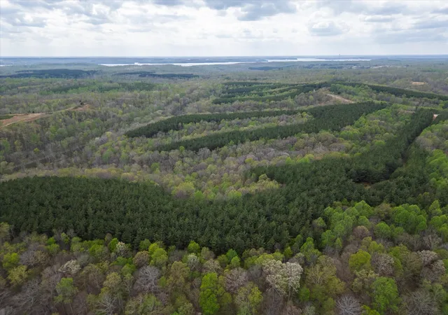 Photo 4 of Land for sale at 0 Rustic Pines Road, Dover, TN 37058 | MLS# 3529350 | Listing updated on 2026-08-31
