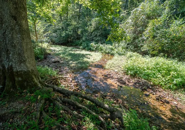 Photo 3 of Single family home for sale at 6307 Bell Branch Trl, Nunnelly, TN 37137 | MLS# 3531897 | Listing updated on 2026-10-05
