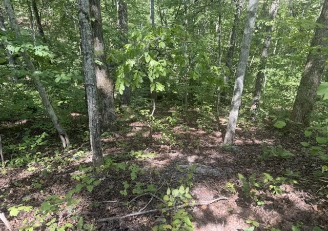 Photo 1 of Land for sale at 12 Skyline Dr, Smithville, TN 37166 | MLS# 3529361 | Listing updated on 2026-09-01