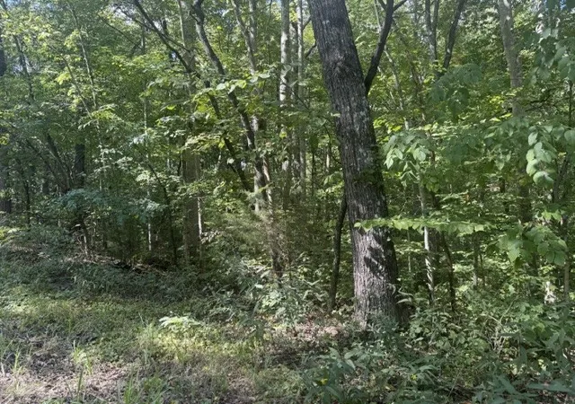 Photo 2 of Land for sale at 12 Skyline Dr, Smithville, TN 37166 | MLS# 3529361 | Listing updated on 2026-09-01