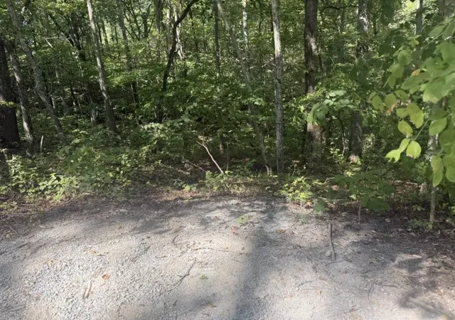 Photo 2 of Land for sale at 12 Skyline Dr, Smithville, TN 37166 | MLS# 3529361 | Listing updated on 2026-09-01