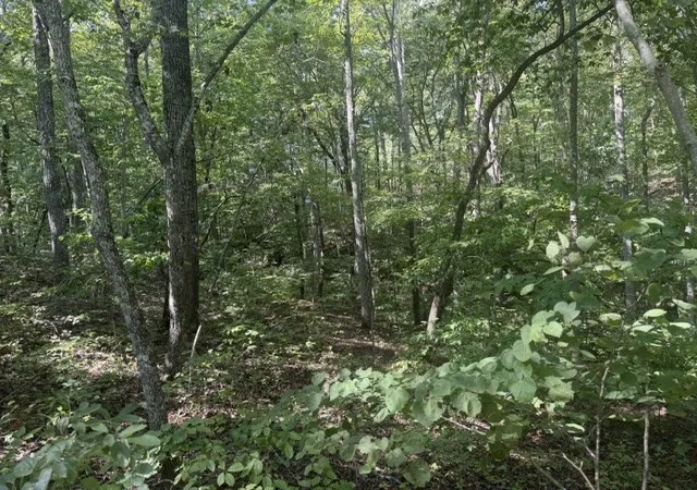 Photo 3 of Land for sale at 12 Skyline Dr, Smithville, TN 37166 | MLS# 3529361 | Listing updated on 2026-09-01