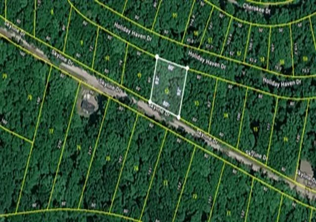 Photo 7 of Land for sale at 12 Skyline Dr, Smithville, TN 37166 | MLS# 3529361 | Listing updated on 2026-09-01