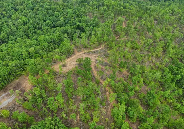Photo 3 of Land for sale at 0 Simmons, Ashland City, TN 37015 | MLS# 3529363 | Listing updated on 2026-08-31