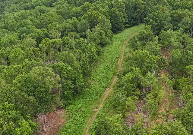 Photo 4 of Land for sale at 0 Simmons, Ashland City, TN 37015 | MLS# 3529363 | Listing updated on 2026-08-31