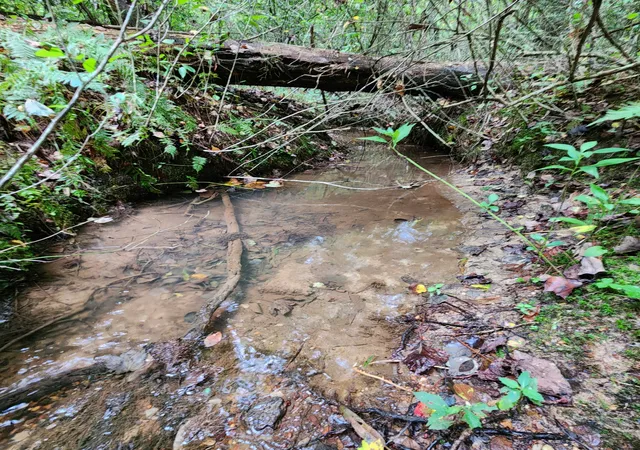Land for sale at 0 Sr 108, Gruetli Laager, TN 37339 | MLS# 3529403