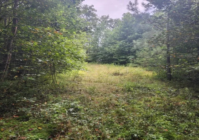 Photo 2 of Land for sale at 0 Sr 108, Gruetli Laager, TN 37339 | MLS# 3529403 | Listing updated on 2026-10-01