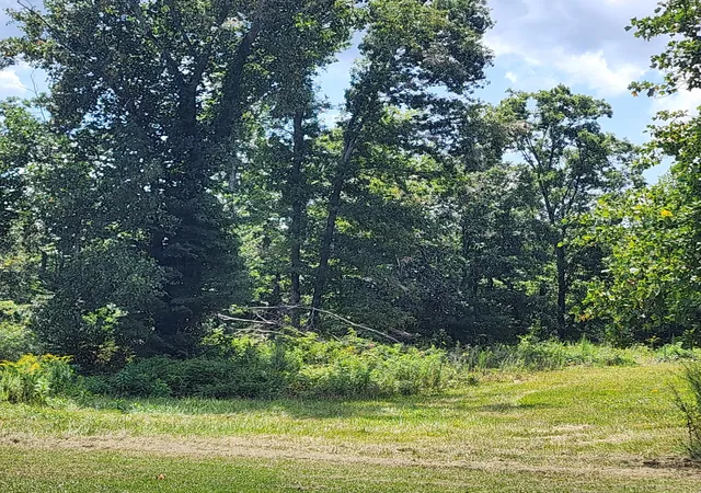 Photo 3 of Land for sale at 0 Sr 108, Gruetli Laager, TN 37339 | MLS# 3529403 | Listing updated on 2026-10-01