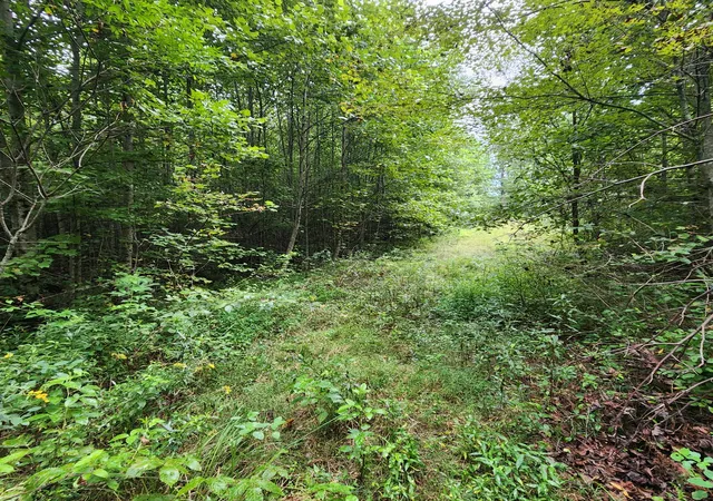 Photo 4 of Land for sale at 0 Sr 108, Gruetli Laager, TN 37339 | MLS# 3529403 | Listing updated on 2026-10-01