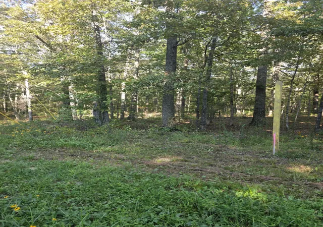 Photo 3 of Land for sale at 0 Pepper Rd, Taft, TN 38488 | MLS# 3543087 | Listing updated on 2026-10-01