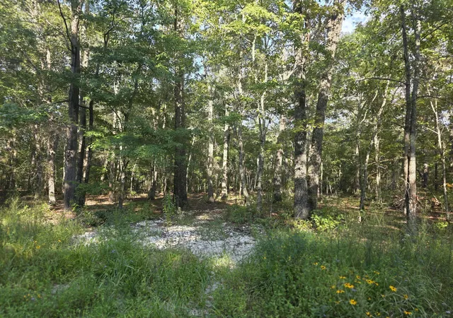 Photo 3 of Land for sale at 0 Pepper Rd, Taft, TN 38488 | MLS# 3543087 | Listing updated on 2026-10-01