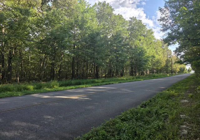 Photo 4 of Land for sale at 0 Pepper Rd, Taft, TN 38488 | MLS# 3543087 | Listing updated on 2026-10-01