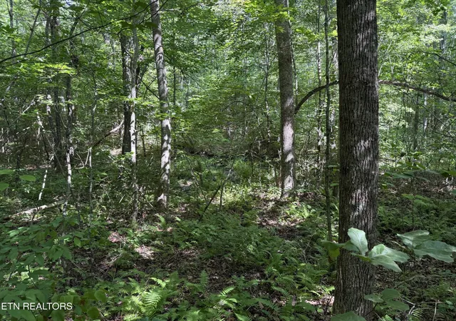 Photo 1 of Land for sale at 0 Laurel Way, Monterey, TN 38574 | MLS# 3529421 | Listing updated on 2026-08-31