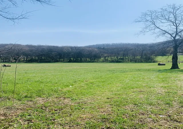 Land for sale at 0 Rock Springs Rd, Watertown, TN 37184 | MLS# 3542759