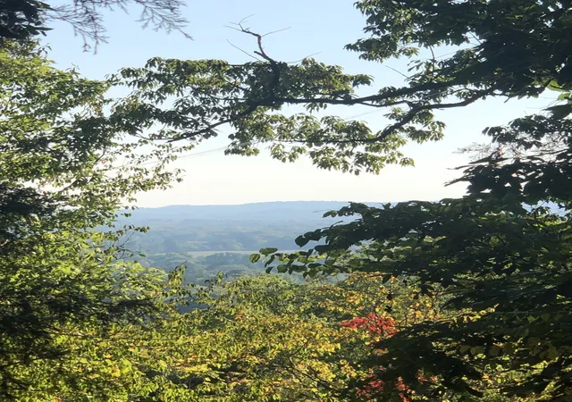 Photo 1 of Land for sale at 1462 Sneed Rd W, Franklin, TN 37069 | MLS# 3530230 | Listing updated on 2026-09-01