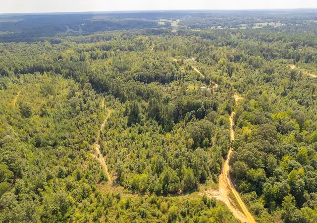 Photo 3 of Land for sale at 89 Hummingbird Ln, Lexington, TN 38351 | MLS# 3540343 | Listing updated on 2026-10-05