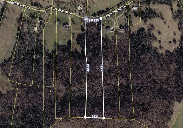 Photo 1 of Land for sale at 115 Agee Branch Ln, Hickman, TN 38567 | MLS# 3529922 | Listing updated on 2026-09-02