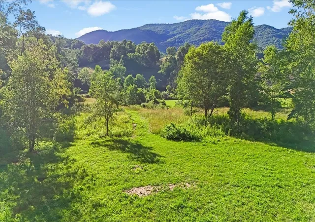 Photo 44 of Single family home for sale at 490 Mountain Springs Rd, Tannersville, VA 24377 | MLS# 3530208 | Listing updated on 2026-09-01