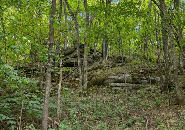 Photo 3 of Land for sale at 2100 Hawkins Branch Rd, Bethpage, TN 37022 | MLS# 3530828 | Listing updated on 2026-09-28