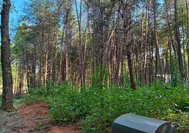 Photo 1 of Land for sale at 100 County Rd 262 Lot 4, Niota, TN 37826 | MLS# 3529863 | Listing updated on 2026-09-19