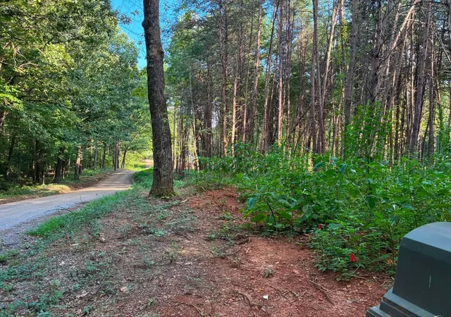 Photo 4 of Land for sale at 100 County Rd 262 Lot 4, Niota, TN 37826 | MLS# 3529863 | Listing updated on 2026-09-19