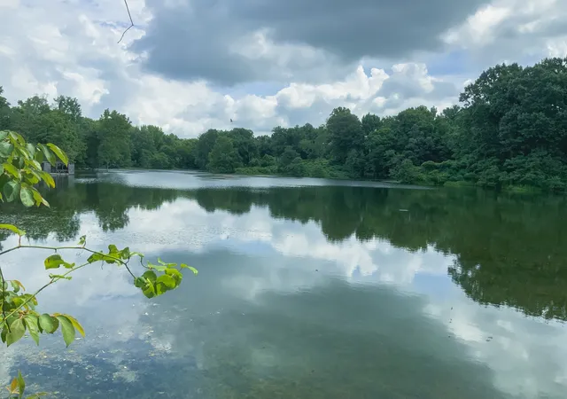 Photo 3 of Land for sale at 0 Call Rd, Obion, TN 38240 | MLS# 3530873 | Listing updated on 2026-09-02
