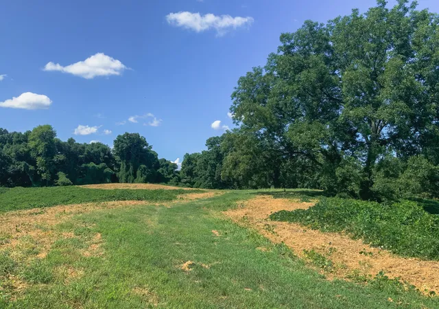 Photo 4 of House for sale at 0 Call Rd, Obion, TN 38240 | MLS# 3530873 | Listing updated on 2026-09-02