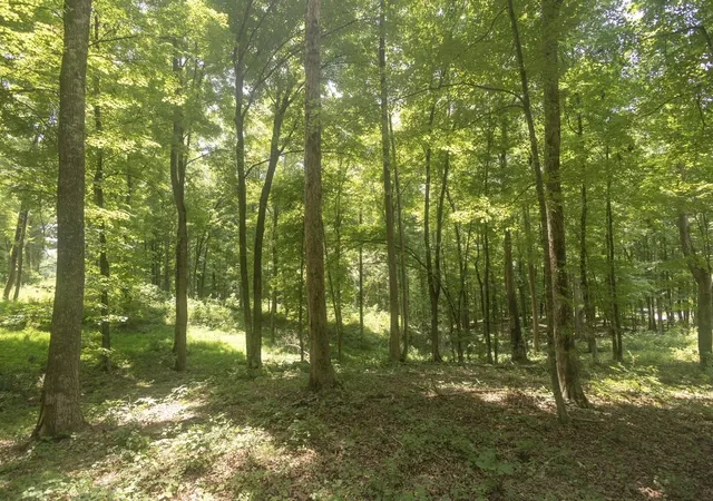 Photo 1 of Land for sale at 123 County Rd 5, Calhoun, TN 37309 | MLS# 3531187 | Listing updated on 2026-09-02