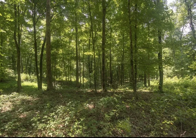 Photo 2 of Land for sale at 123 County Rd 5, Calhoun, TN 37309 | MLS# 3531187 | Listing updated on 2026-09-02
