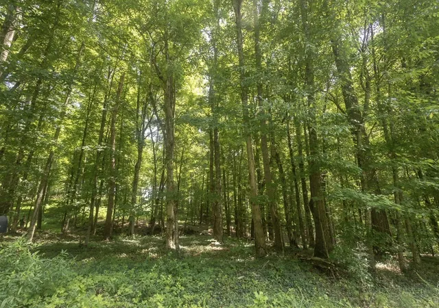 Photo 3 of Land for sale at 123 County Rd 5, Calhoun, TN 37309 | MLS# 3531187 | Listing updated on 2026-09-02