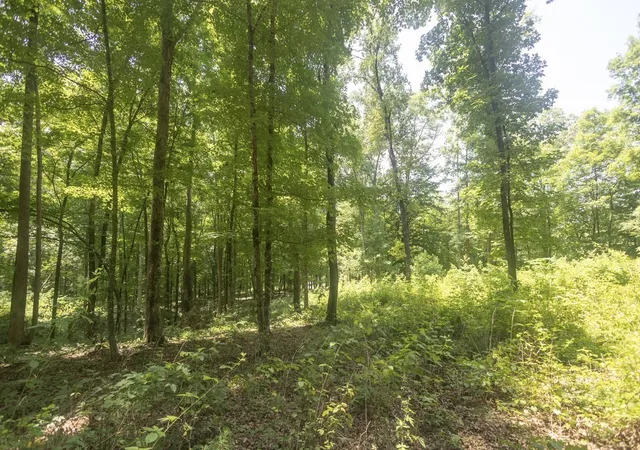 Photo 3 of Land for sale at 123 County Rd 5, Calhoun, TN 37309 | MLS# 3531187 | Listing updated on 2026-09-02