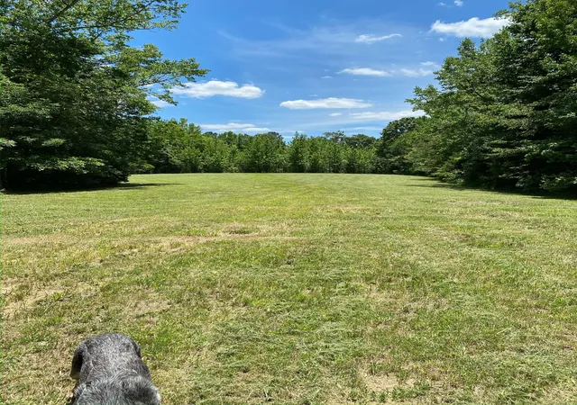 Photo 3 of Land for sale at 255 Mcbride Cemetery Rd, Sardis, TN 38371 | MLS# 3592878 | Listing updated on 2026-09-16