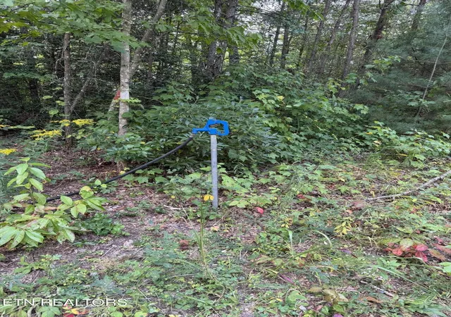 Photo 4 of Land for sale at 837 Bear Holw Rd, Oneida, TN 37841 | MLS# 3530373 | Listing updated on 2026-09-01