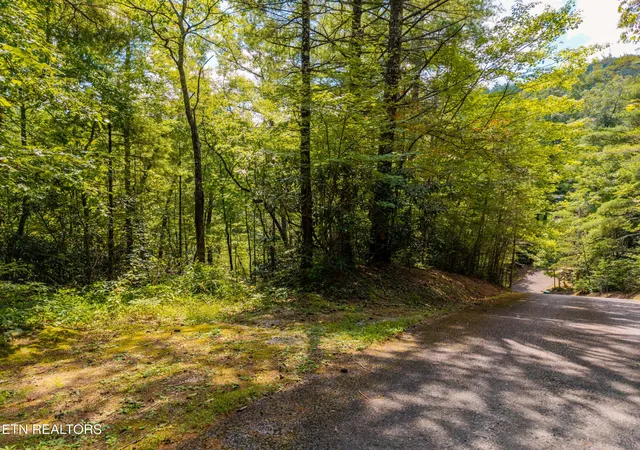 Land for sale at 267 Cobblestone Way, Townsend, TN 37882 | MLS# 3530485