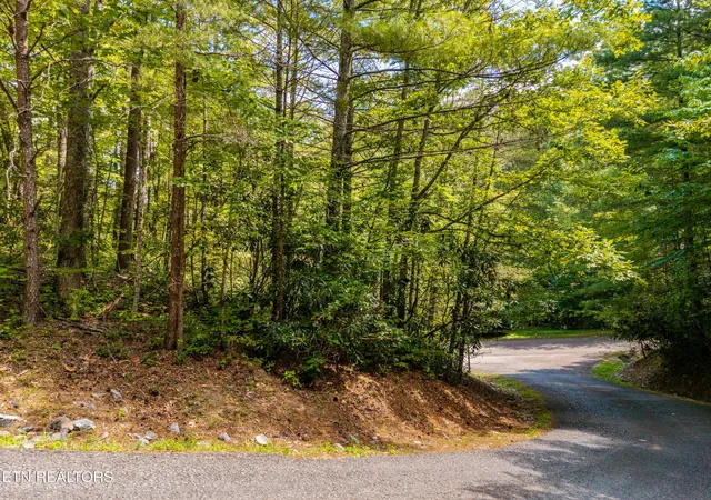 Photo 4 of Land for sale at 267 Cobblestone Way, Townsend, TN 37882 | MLS# 3530485 | Listing updated on 2026-09-01
