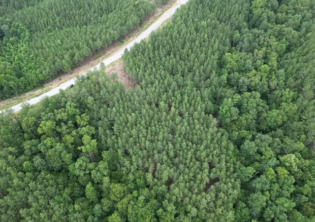 Photo 2 of Land for sale at 297 Ashwood Dr, Linden, TN 37096 | MLS# 3530710 | Listing updated on 2026-09-01