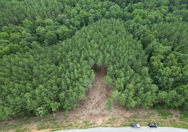 Photo 3 of Land for sale at 297 Ashwood Dr, Linden, TN 37096 | MLS# 3530710 | Listing updated on 2026-09-01